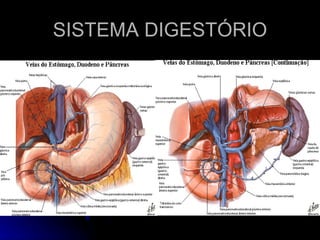 SISTEMA DIGESTÓRIO 
