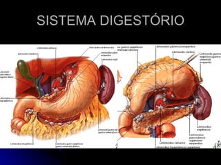 SISTEMA DIGESTÓRIO 
