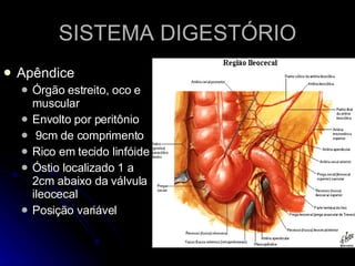 SISTEMA DIGESTÓRIO Apêndice  Órgão estreito, oco e muscular Envolto por peritônio 9cm de comprimento Rico em tecido linfóide Óstio localizado 1 a 2cm abaixo da válvula ileocecal Posição variável 