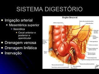 SISTEMA DIGESTÓRIO Irrigação arterial Mesentérica superior Ileocólica  Cecal anterior e posterior e apendicular Drenagem venosa Drenagem linfática Inervação  