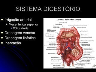 SISTEMA DIGESTÓRIO Irrigação arterial Mesentérica superior Cólica direita Drenagem venosa Drenagem linfática Inervação 