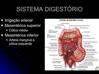 SISTEMA DIGESTÓRIO Irrigação arterial Mesentérica superior Cólica média Mesentérica inferior Artéria marginal e cólica esquerda 