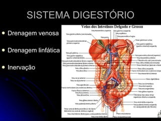SISTEMA DIGESTÓRIO Drenagem venosa Drenagem linfática Inervação  