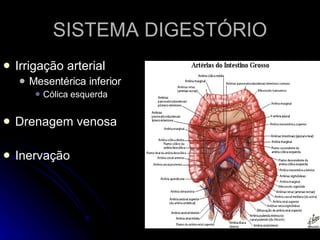 SISTEMA DIGESTÓRIO Irrigação arterial Mesentérica inferior Cólica esquerda Drenagem venosa Inervação  