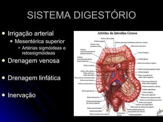 SISTEMA DIGESTÓRIO Irrigação arterial Mesentérica superior Artérias sigmóideas e retossigmóideas  Drenagem venosa Drenagem linfática Inervação  