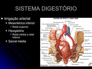 SISTEMA DIGESTÓRIO Irrigação arterial Mesentérica inferior Retal superior Hipogástria Retal média e retal inferior Sacral média 
