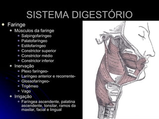 SISTEMA DIGESTÓRIO Faringe Músculos da faringe Salpingofaríngeo Palatofaríngeo  Estilofaríngeo Constrictor superior Constrictor médio Constrictor inferior Inervação Plexo faríngeo- Laríngeo anterior e recorrente-  Glossofaríngeo- Trigêmeo  Vago  Irrigação  Faríngea ascendente, palatina ascendente, tonsilar, ramos da maxilar, facial e lingual  