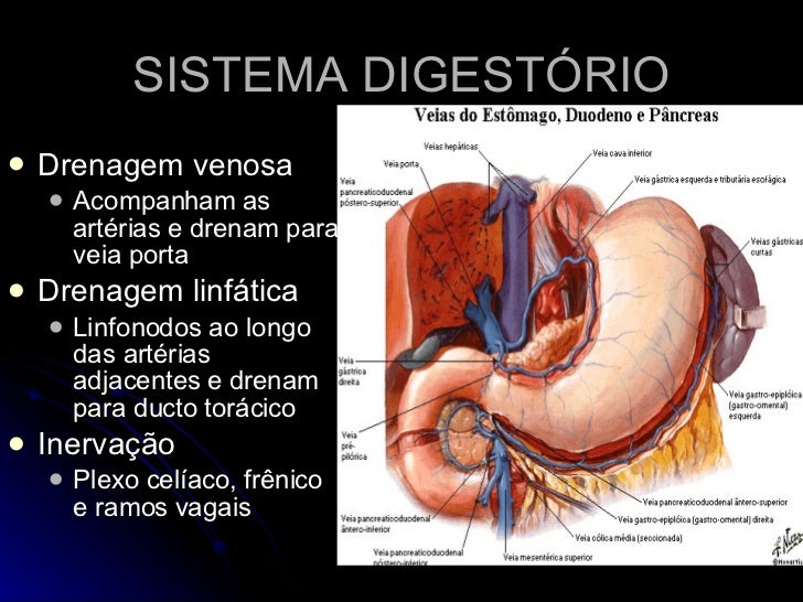 Sistema DigestóRio
