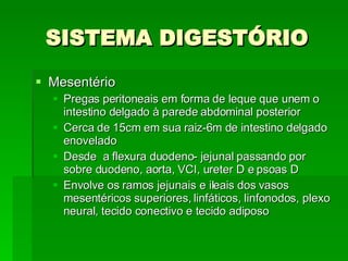 SISTEMA DIGESTÓRIO Mesentério Pregas peritoneais em forma de leque que unem o intestino delgado à parede abdominal posterior Cerca de 15cm em sua raiz-6m de intestino delgado enovelado Desde  a flexura duodeno- jejunal passando por sobre duodeno, aorta, VCI, ureter D e psoas D Envolve os ramos jejunais e ileais dos vasos mesentéricos superiores, linfáticos, linfonodos, plexo neural, tecido conectivo e tecido adiposo 