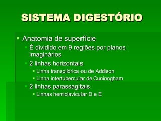 SISTEMA DIGESTÓRIO Anatomia de superfície É dividido em 9 regiões por planos imaginários 2 linhas horizontais Linha transpilórica ou de Addison Linha intertubercular de Cuninngham 2 linhas parassagitais Linhas hemiclavicular D e E 