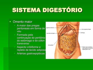 SISTEMA DIGESTÓRIO Omento maior A maior das pregas peritoneais em forma de véu Formada pela continuação do peritônio do estômago e do cólon transverso  Aspecto cribiforme e repleto de tecido adiposo Artérias gastroepiplócas 