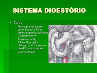 SISTEMA DIGESTÓRIO Corpo Forma prismática em corte, possui 3 faces: ântero-superior, posterior e ântero-inferior Posterior- aorta, A.Mes.Sup., pilar diafragma, rim e supra-renal E, vasos renais Veia esplênica 