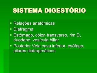 SISTEMA DIGESTÓRIO Relações anatômicas Diafragma Estômago, cólon transverso, rim D, duodeno, vesícula biliar Posterior Veia cava inferior, esôfago, pilares diafragmáticos 