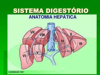 SISTEMA DIGESTÓRIO 