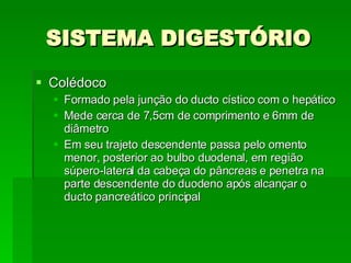 SISTEMA DIGESTÓRIO Colédoco Formado pela junção do ducto cístico com o hepático Mede cerca de 7,5cm de comprimento e 6mm de diâmetro Em seu trajeto descendente passa pelo omento menor, posterior ao bulbo duodenal, em região súpero-lateral da cabeça do pâncreas e penetra na parte descendente do duodeno após alcançar o ducto pancreático principal 