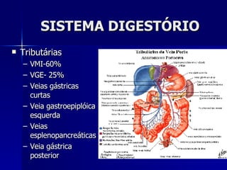 SISTEMA DIGESTÓRIO Tributárias  VMI-60% VGE- 25% Veias gástricas curtas Veia gastroepiplóica esquerda Veias esplenopancreáticas  Veia gástrica posterior 