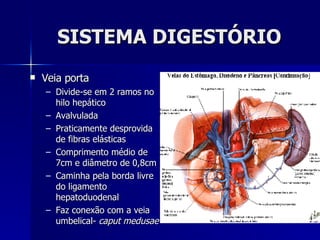 SISTEMA DIGESTÓRIO Veia porta Divide-se em 2 ramos no hilo hepático Avalvulada Praticamente desprovida de fibras elásticas Comprimento médio de 7cm e diâmetro de 0,8cm Caminha pela borda livre do ligamento hepatoduodenal Faz conexão com a veia umbelical-  caput medusae 
