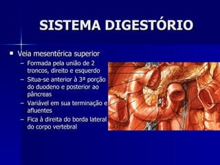 SISTEMA DIGESTÓRIO Veia mesentérica superior Formada pela união de 2 troncos, direito e esquerdo Situa-se anterior à 3ª porção do duodeno e posterior ao pâncreas Variável em sua terminação e afluentes Fica à direita do borda lateral do corpo vertebral 