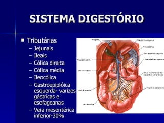SISTEMA DIGESTÓRIO Tributárias  Jejunais Ileais  Cólica direita Cólica média Ileocólica  Gastroepiplóica esquerda- varizes gástricas e esofageanas Veia mesentérica inferior-30% 