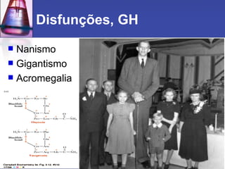 Disfunções, GH Nanismo Gigantismo Acromegalia  