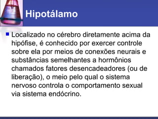 Hipotálamo Localizado no cérebro diretamente acima da hipófise, é conhecido por exercer controle sobre ela por meios de conexões neurais e substâncias semelhantes a hormônios chamados fatores desencadeadores (ou de liberação), o meio pelo qual o sistema nervoso controla o comportamento sexual via sistema endócrino.  