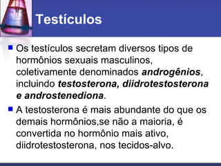 Testículos Os testículos secretam diversos tipos de hormônios sexuais masculinos, coletivamente denominados  androgênios , incluindo  testosterona, diidrotestosterona e androstenediona .  A testosterona é mais abundante do que os demais hormônios,se não a maioria, é convertida no hormônio mais ativo, diidrotestosterona, nos tecidos-alvo.  