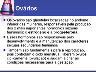 Ovários  Os ovários são glândulas localizadas no abdome inferior das mulheres, responsáveis pela produção dos 2 mais importantes hormônios sexuais femininos: o  estrógeno  e a  progesterona .  Esses hormônios são responsáveis pelo desenvolvimento e a manutenção dos caracteres sexuais secundários femininos  Também são fundamentais para a reprodução, pois controlam o ciclo menstrual, liberam óvulos ciclicamente (ovulação) e ajudam a criar as condições necessárias para a gestação.  