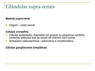 Glândulas supra-renais Medula supra-renal Origem - crista neural  Células cromafins Células epitelióides, dispostas em grupos ou pequenos cordões, contendo grânulos que se coram de marrom com cromo Sintetizam catecolaminas - adrenalina e noradrenalina Células ganglionares simpáticas 