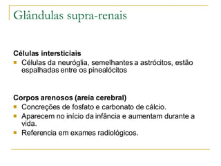 Glândulas supra-renais Células intersticiais Células da neuróglia, semelhantes a astrócitos, estão espalhadas entre os pinealócitos Corpos arenosos (areia cerebral) Concreções de fosfato e carbonato de cálcio. Aparecem no início da infância e aumentam durante a vida. Referencia em exames radiológicos.  