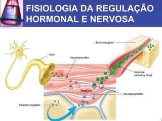 FISIOLOGIA DA REGULAÇÃO
HORMONAL E NERVOSA
 