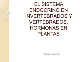 EL SISTEMA
ENDOCRINO EN
INVERTEBRADOS Y
VERTEBRADOS.
HORMONAS EN
PLANTAS
Profesora Isabel Cobo
 