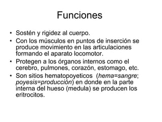 Funciones  Sostén y rigidez al cuerpo.  Con los músculos en puntos de inserción se produce movimiento en las articulaciones formando el aparato locomotor.  Protegen a los órganos internos como el cerebro, pulmones, corazón, estomago, etc.  Son sitios hematopoyeticos  ( hema=sangre ;  poyesis=producción ) en donde en la parte interna del hueso (medula) se producen los eritrocitos.  