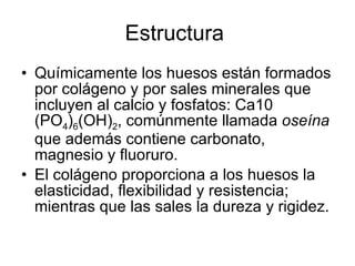 Estructura  Químicamente los huesos están formados por colágeno y por sales minerales que incluyen al calcio y fosfatos: Ca10 (PO 4 ) 6 (OH) 2 , comúnmente llamada  oseína  que además contiene carbonato, magnesio y fluoruro.  El colágeno proporciona a los huesos la elasticidad, flexibilidad y resistencia; mientras que las sales la dureza y rigidez.  