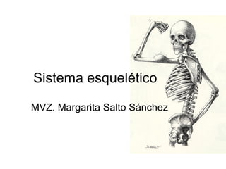 Sistema esquelético MVZ. Margarita Salto Sánchez 
