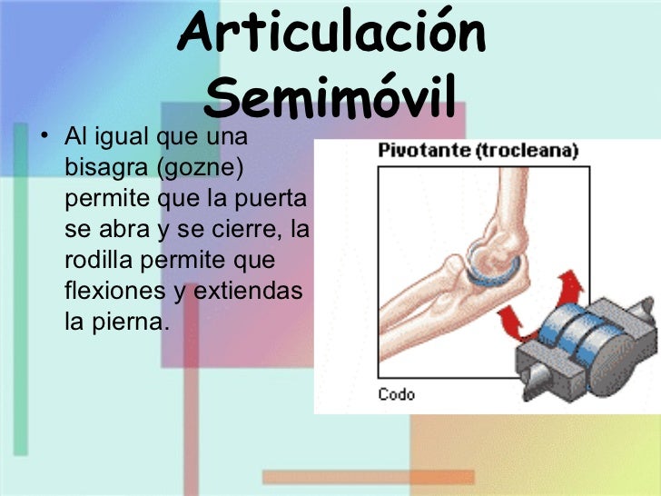 Sistema EsqueléTico