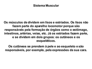 Sistema Muscular Os músculos de dividem em lisos e estriados. Os lisos não fazem parte do aparelho locomotor porque são responsáveis pela formação de órgãos como o estômago, intestinos, artérias, veias, etc. Já os estriados fazem parte, e se dividem em dois grupos: os cutâneos e os esqueléticos. Os cutâneos se prendem à pele e ao esqueleto e são responsáveis, por exemplo, pela expressões da sua cara. 