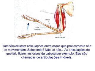 Também existem articulações entre ossos que praticamente não se movimentam. Sabe onde? Não, aí não... As articulações de que falo ficam nos ossos da cabeça por exemplo. Elas são chamadas de  articulações   imóveis . 