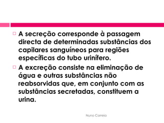 A secreção corresponde à passagem directa de determinadas substâncias dos capilares sanguíneos para regiões específicas do tubo urinífero. A excreção consiste na eliminação de água e outras substâncias não reabsorvidas que, em conjunto com as substâncias secretadas, constituem a urina. Nuno Correia 