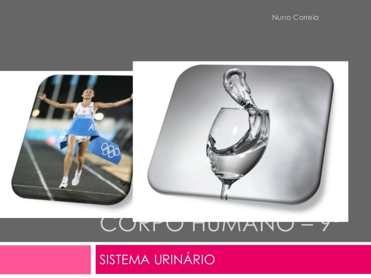 CORPO HUMANO – 9º  SISTEMA URINÁRIO Nuno Correia 