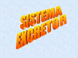 SISTEMA  EXCRETOR 