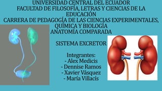 UNIVERSIDAD CENTRAL DEL ECUADOR
FACULTAD DE FILOSOFÍA, LETRASY CIENCIASDE LA
EDUCACIÓN
CARRERA DE PEDAGOGÍA DE LASCIENCIASEXPERIMENTALES,
QUÍMICAYBIOLOGÍA
ANATOMÍACOMPARADA
SISTEMA EXCRETOR
Integrantes:
- AlexMedicis
- Dennise Ramos
- Xavier Vásquez
- María Villacís
 