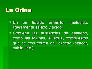 La Orina En un líquido amarillo, traslúcido, ligeramente salado y ácido. Contiene las sustancias de desecho, como las toxinas, el agua, compuestos que se encuentren en  exceso (ázucar, calcio, etc.) 