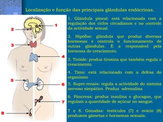 Localização e função das principais glândulas endócrinas. 1. Glândula pineal: está relacionada com a regulação dos ciclos circadianos e no controlo da actividade sexual. 2. Hipófise: glândula que produz diversas hormonas e controla o funcionamento de outras glândulas. É a responsável pela hormona do crescimento. 3. Tiróide: produz tiroxina que também regula o crescimento. 4. Timo: está relacionado com a defesa do organismo 6. Pâncreas: produz insulina e glucagon, que regulam a quantidade de açúcar no sangue. 5. Supre-renais: regula a actividade do sistema nervoso simpático. Produz  adrenalina 7 e 8. Gónadas: testículos (7) e ovário (8) produzem gâmetas e hormonas sexuais. 