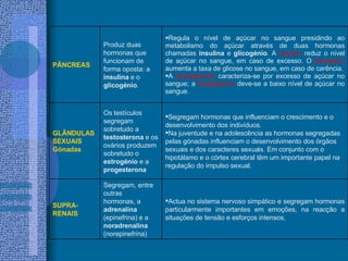 Actua no sistema nervoso simpático e segregam hormonas particularmente importantes em emoções, na reacção a situações de tensão e esforços intensos. Segregam, entre outras hormonas, a  adrenalina  (epinefrina) e a  noradrenalina  (norepinefrina) SUPRA- RENAIS Segregam hormonas que influenciam o crescimento e o desenvolvimento dos indivíduos. Na juventude e na adolescência as hormonas segregadas pelas gónadas influenciam o desenvolvimento dos órgãos sexuais e dos caracteres sexuais. Em conjunto com o hipotálamo e o córtex cerebral têm um importante papel na regulação do impulso sexual. Os testículos segregam sobretudo a  testosterona  e os ovários produzem sobretudo o  estrogénio  e a  progesterona GLÂNDULAS SEXUAIS Gónadas Regula o nível de açúcar no sangue presidindo ao metabolismo do açúcar através de duas hormonas chamadas  insulina  e  glicogénio . A  insulina  reduz o nível de açúcar no sangue, em caso de excesso. O  glicogénio  aumenta a taxa de glicose no sangue, em caso de carência. A  hiperglicemia  caracteriza-se por excesso de açúcar no sangue; a  hipoglicemia  deve-se a baixo nível de açúcar no sangue. Produz duas hormonas que funcionam de forma oposta: a insulina  e o  glicogénio . PÂNCREAS 