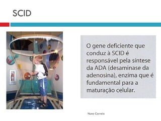 Sistema ImunitáRio (DoençAs E DesequilíBrios)