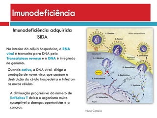 Sistema ImunitáRio (DoençAs E DesequilíBrios)