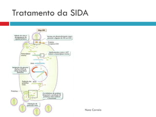 Sistema ImunitáRio (DoençAs E DesequilíBrios)