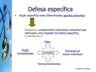 O Sistema Imunitário
Defesa específica
• Acção específica sobre determinados agentes estranhos
Antigénios: componentes moleculares estranhos que
estimulam uma resposta imunitária específica_
Linfócitos B e T.
Pólen
Órgão
transplantado
Toxinas bacterianas
Hemácias de
outros indivíduos
 