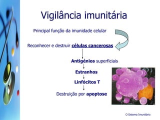 O Sistema Imunitário
Vigilância imunitária
Principal função da imunidade celular
Reconhecer e destruir células cancerosas
Antigénios superficiais
Estranhos
Linfócitos T
Destruição por apoptose
 