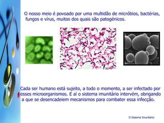 O Sistema Imunitário
O nosso meio é povoado por uma multidão de micróbios, bactérias,
fungos e vírus, muitos dos quais são patogénicos.
Cada ser humano está sujeito, a todo o momento, a ser infectado por
esses microorganismos. E aí o sistema imunitário intervém, obrigando
a que se desencadeiem mecanismos para combater essa infecção.
 